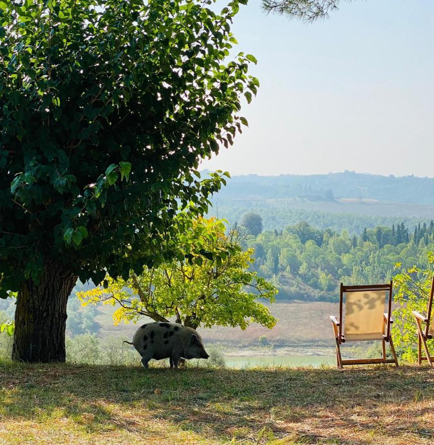 Agriturismo Sole Villa Trequanda Buitenkant foto