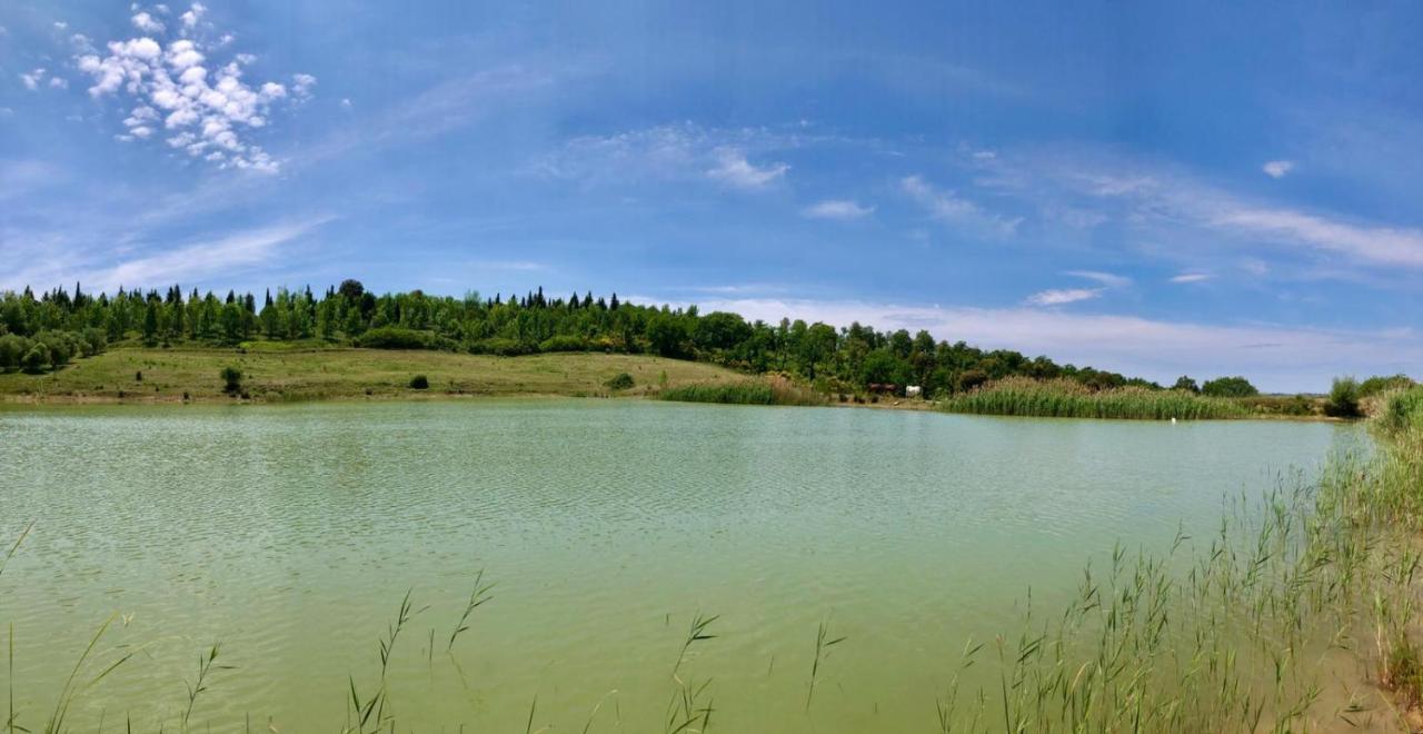 Agriturismo Sole Villa Trequanda Buitenkant foto