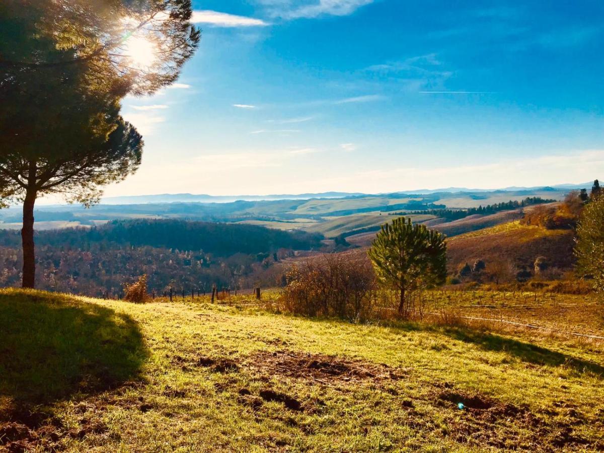 Agriturismo Sole Villa Trequanda Buitenkant foto