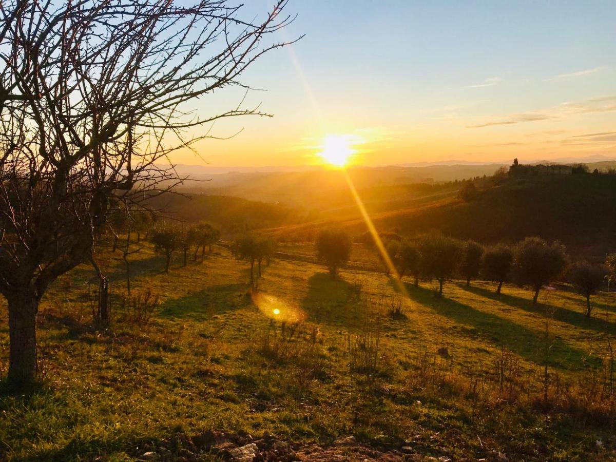 Agriturismo Sole Villa Trequanda Buitenkant foto