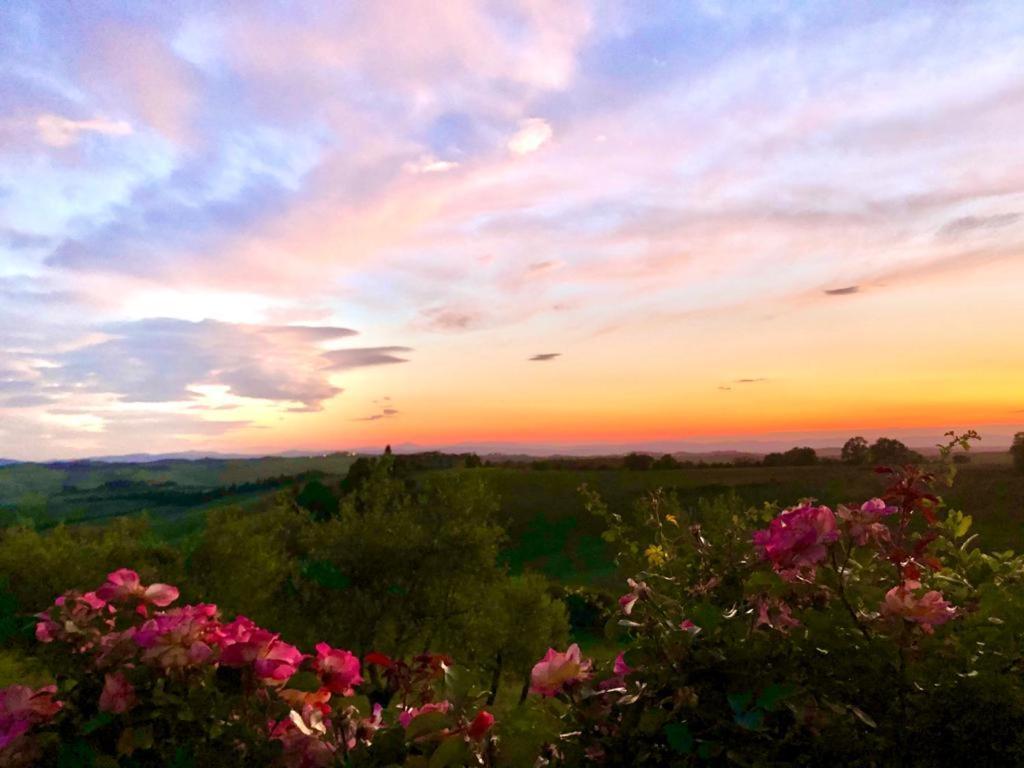 Agriturismo Sole Villa Trequanda Buitenkant foto