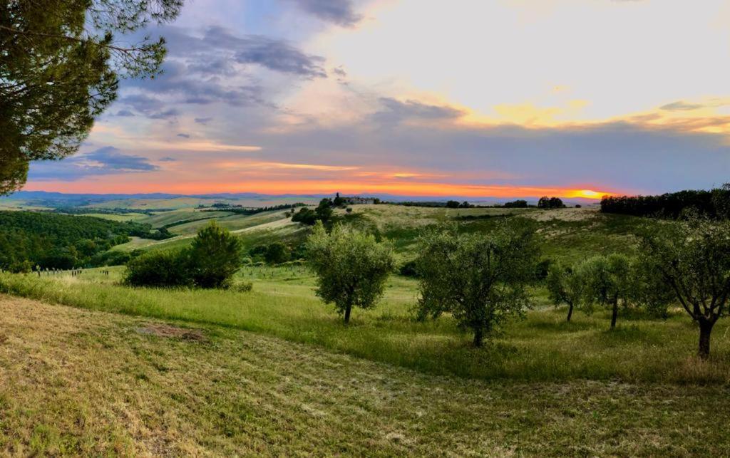 Agriturismo Sole Villa Trequanda Buitenkant foto